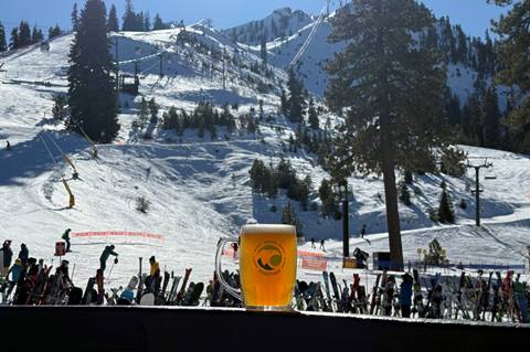 Mug Club glass filled with brew at Plaza Bar