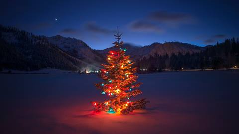 Christmas Tree located in Olympic Valley at Palisades Tahoe. 