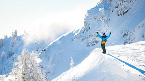 Snowboarder above snowy peak.