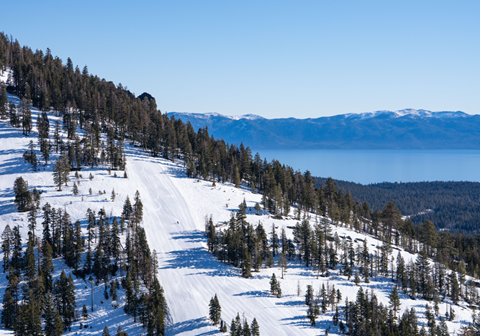 Bluebird Alpine groomer at Alpine