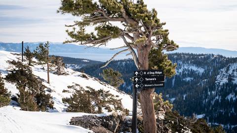 Trail signage on top of Olympian.