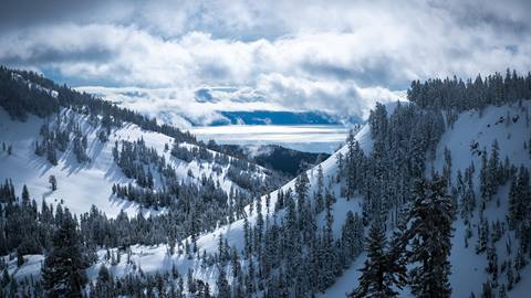 Services Mountain Overlook