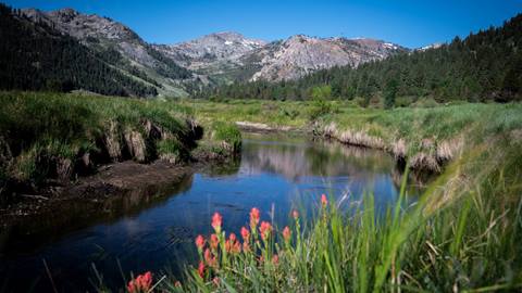 Olympic Valley view during June 2021 with Squaw Creek in the foreground and the peaks of Palisades Tahoe in the background